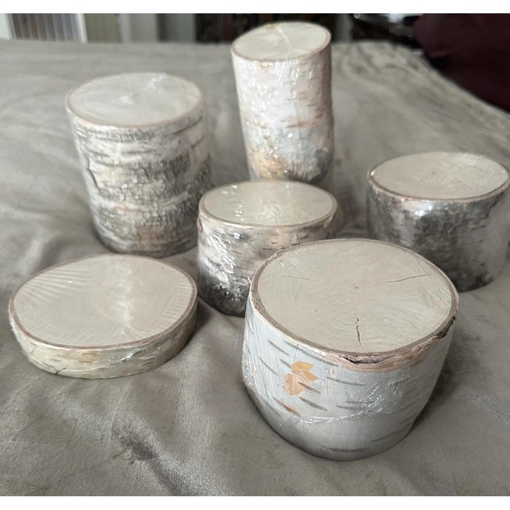 ArtMinds Birch Wood Rounds Slice Natural Unfinished Craft Decor Lot Of 6 USA - Picture 2 of 16